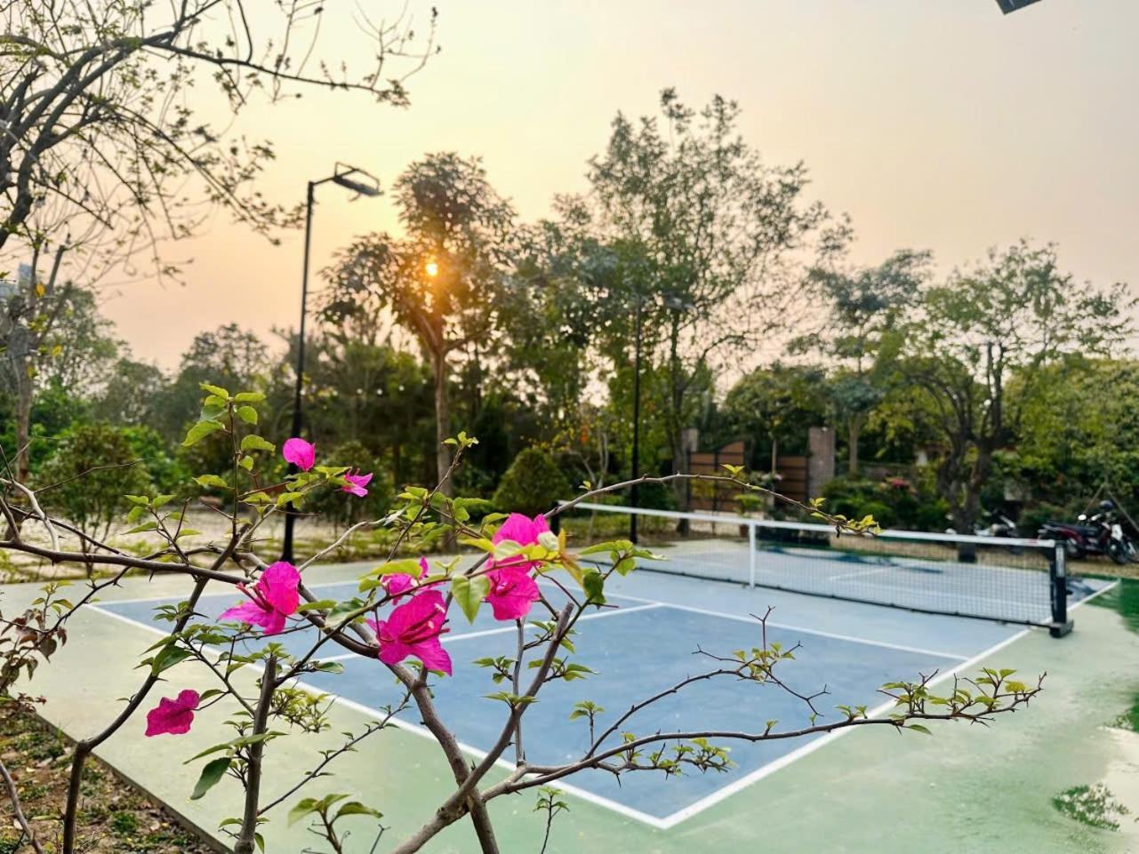 Song Dan Biệt thự *